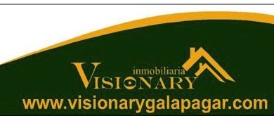 Logo Inmobiliaria Visionary